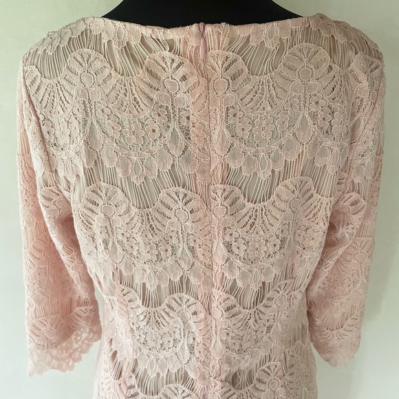 DAINTY JEWELL’S Pink Lace A-Line Midi Dress Size M Fairy Girlhoodcore Romantic - Picture 7 of 12